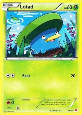 Lotad (23/30)