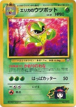 Erika's Victreebel (008/027)
