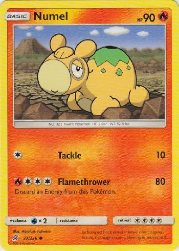 Numel (23/236)
