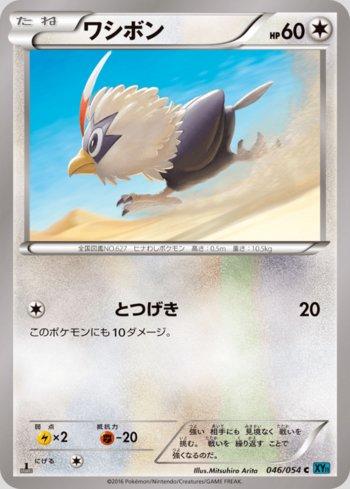 Rufflet (046/054)