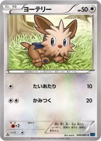 Lillipup (049/060)