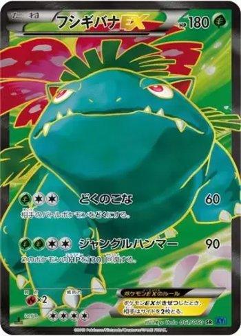 Venusaur-EX (061/060)