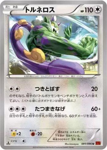 Tornadus (081/096) — Rising Fist