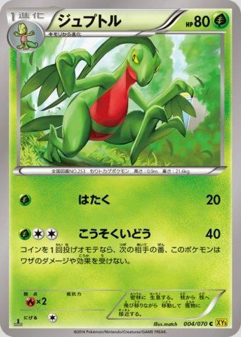 Grovyle (004/070)