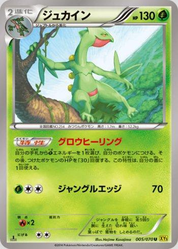 Sceptile (005/070)