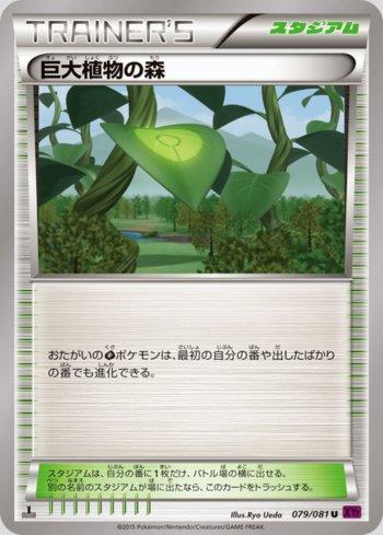 Forest of Giant Plants (079/081) — Bandit Ring