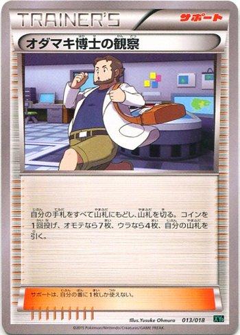 Professor Birch's Observations (013/018)