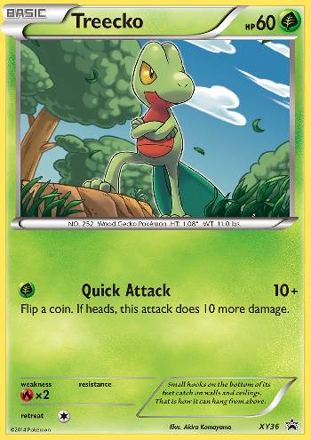 Treecko — XY Promos