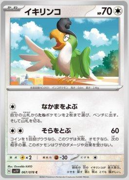 Squawkabilly (067/078) — Violet ex (JP)
